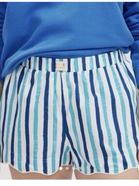 Roller Rabbit x Target blue striped poplin boxer shorts size XXL loungewear